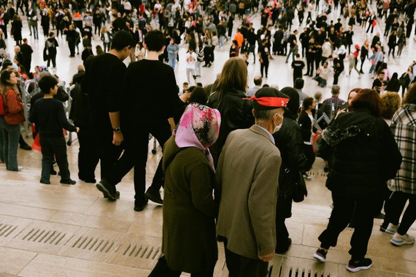 Protégez votre animal : les avantages de l'assurance